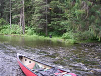 2006-07-31 10-20-59_0232.jpg (165kb)